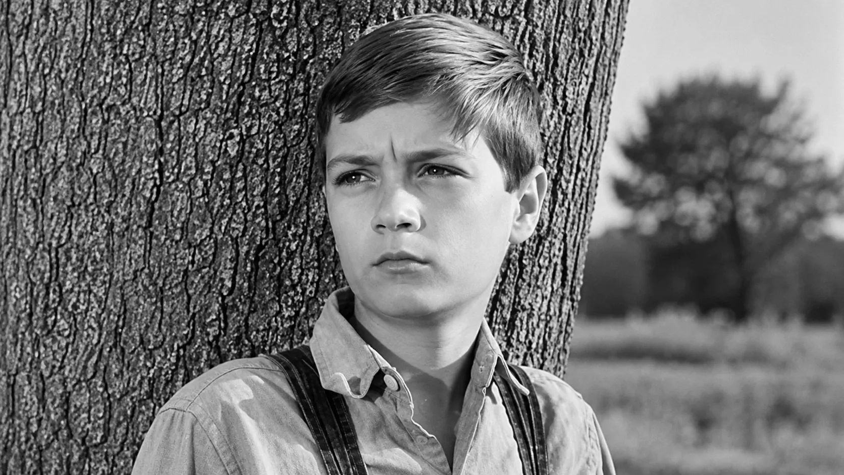 Southern courthouse setting connected to the Phillip Alford To Kill a Mockingbird story